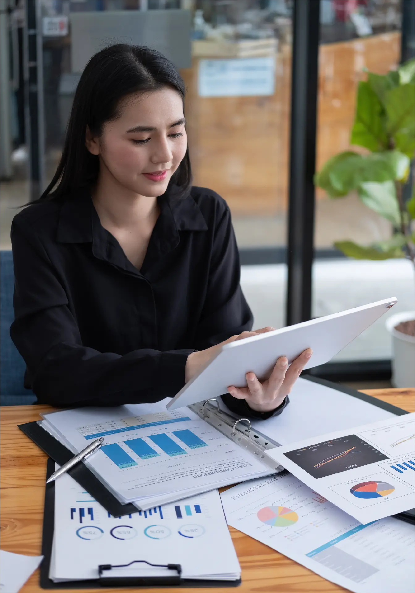 Finsoul Network Financial Automation Services